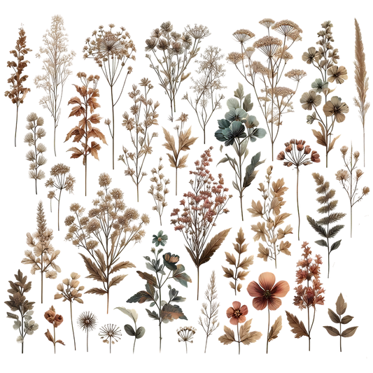 Wildflower Leaves